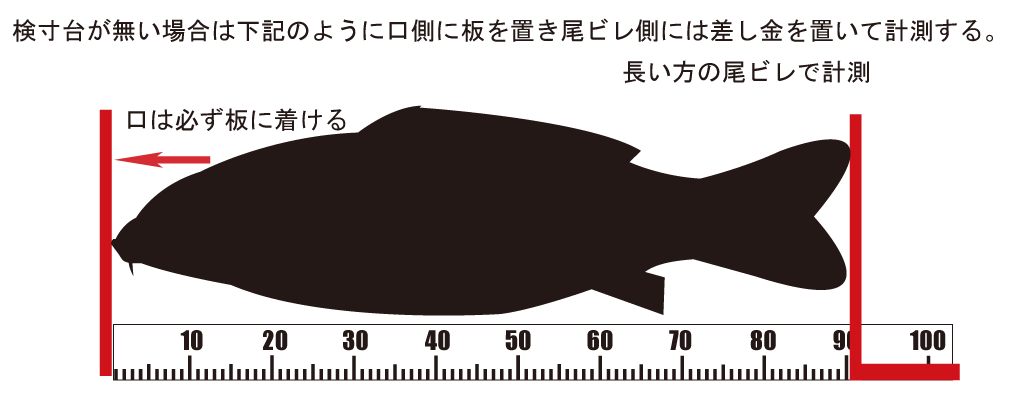 検寸方法イメージ